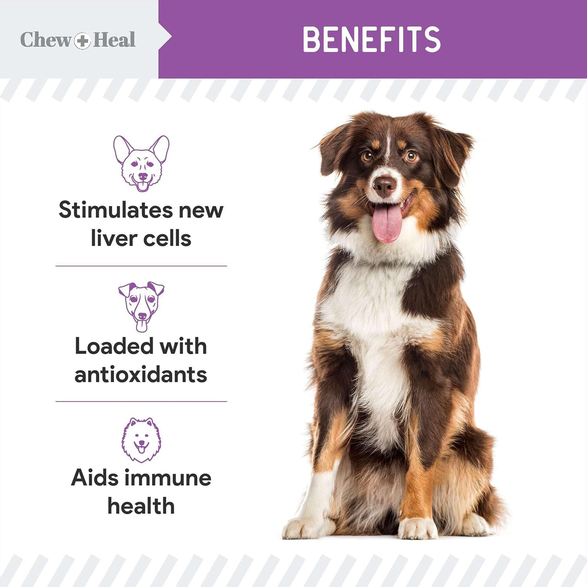 Milk Thistle for Dogs Liver Support - 60 ml Liquid Milk Thistle Supplement with Wild Alaskan Salmon Oil and Moringa Oil - Made in the USA - görsel 4