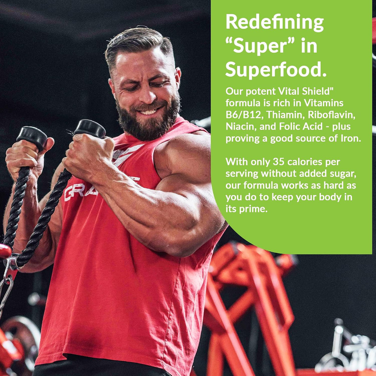 Granite Nutrition Vital Shield – USDA Organic Superfood Greens Powder with Mushrooms & Tart Cherry, Lemon and Lime, 30 Servings - görsel 6