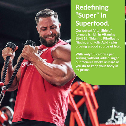 Granite Nutrition Vital Shield – USDA Organic Superfood Greens Powder with Mushrooms & Tart Cherry, Lemon and Lime, 30 Servings