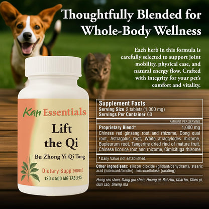 Kan Herb Company Lift the Qi – Traditional Chinese Herbal Blend for Dogs and Cats, 120 Tablets