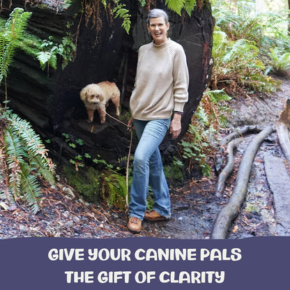 Clarity - Cognitive Support Mushroom Supplement for Dogs - Brain Health, Memory and Focus Support with Adaptogens for Ageing Dogs
