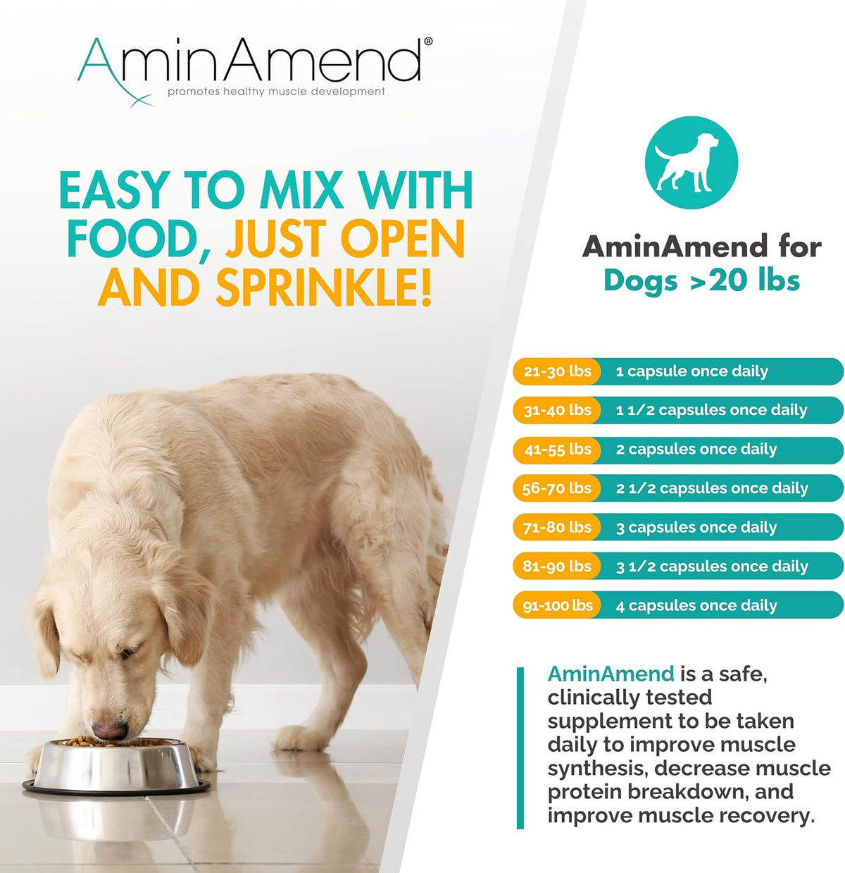 AminAmend Dog Muscle Supplement for Large Breeds – CaHMB & Vitamin D3 (30 Capsules) – Image 7