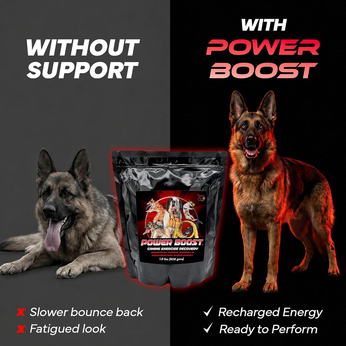Power Boost Canine Performance Formula – Low Fat, High Carb Rehydration & Recovery Supplement for Working & Sporting Dogs - görsel 6