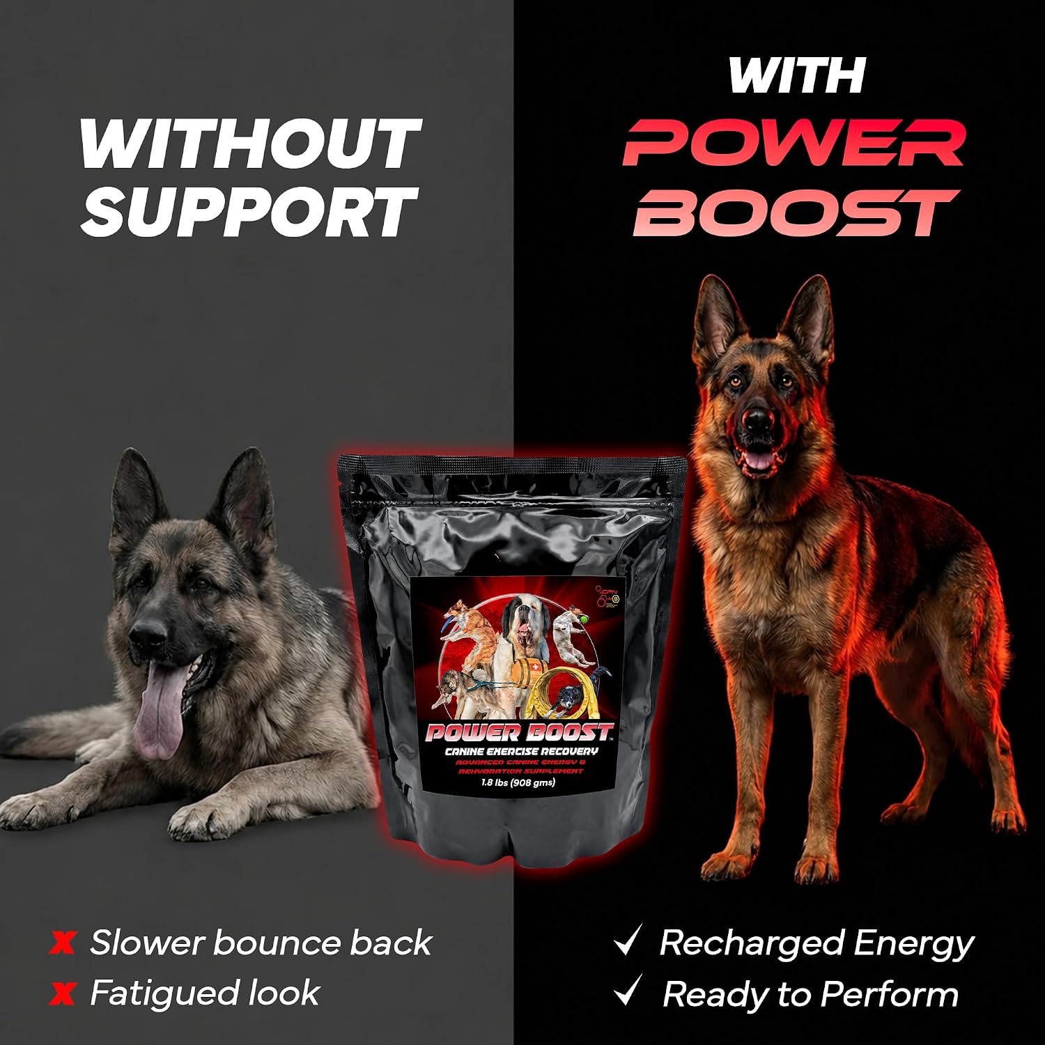 Power Boost Canine Performance Formula – Low Fat, High Carb Rehydration & Recovery Supplement for Working & Sporting Dogs - görsel 6