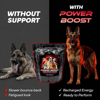 Power Boost Canine Performance Formula – Low Fat, High Carb Rehydration & Recovery Supplement for Working & Sporting Dogs