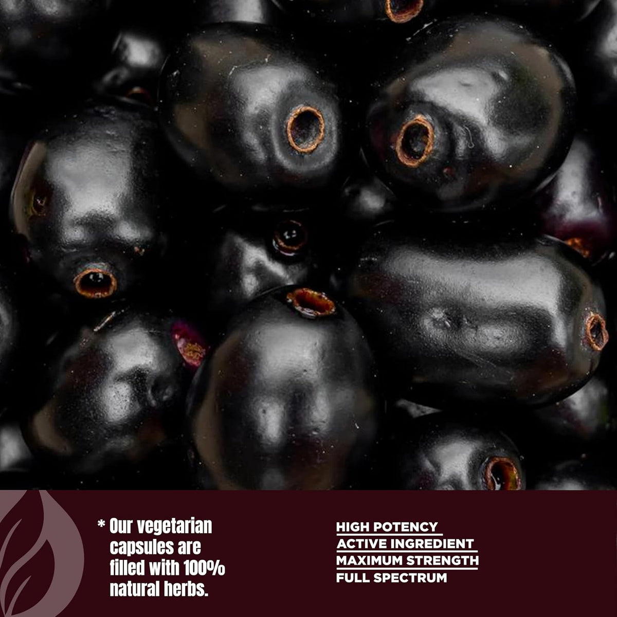 Jamun Capsules – Eugenia Jambolana Seed Extract (10:1) – 60 Vegan Capsules - görsel 8