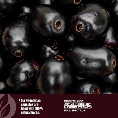 Jamun Capsules – Eugenia Jambolana Seed Extract (10:1) – 60 Vegan Capsules