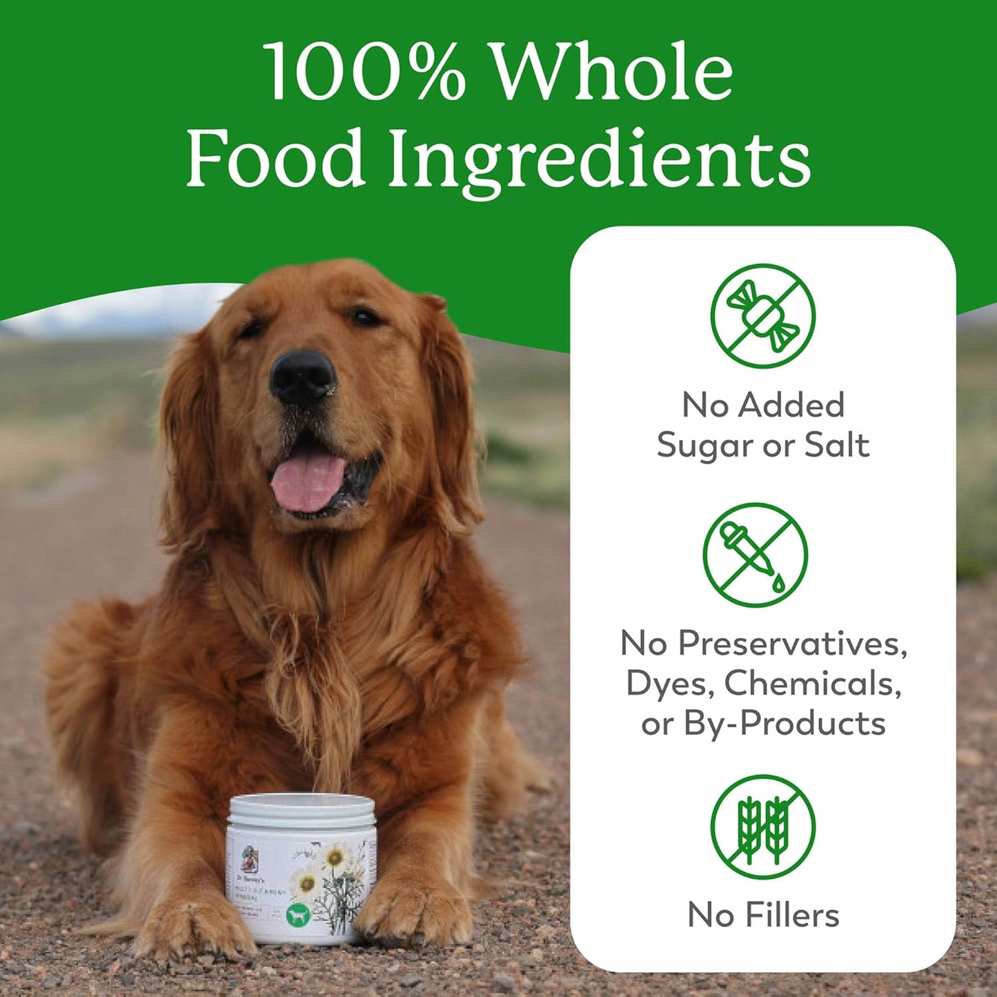 Dr. Harvey's Herbal Multivitamin & Mineral Supplement for Dogs, 198g - görsel 3