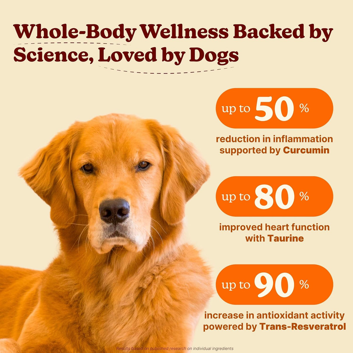 Furevery 11-in-1 Dog Multivitamin Chews – Chicken Flavour, Supports Immune, Joint, Coat, Heart & Energy – 60 Chews - görsel 2