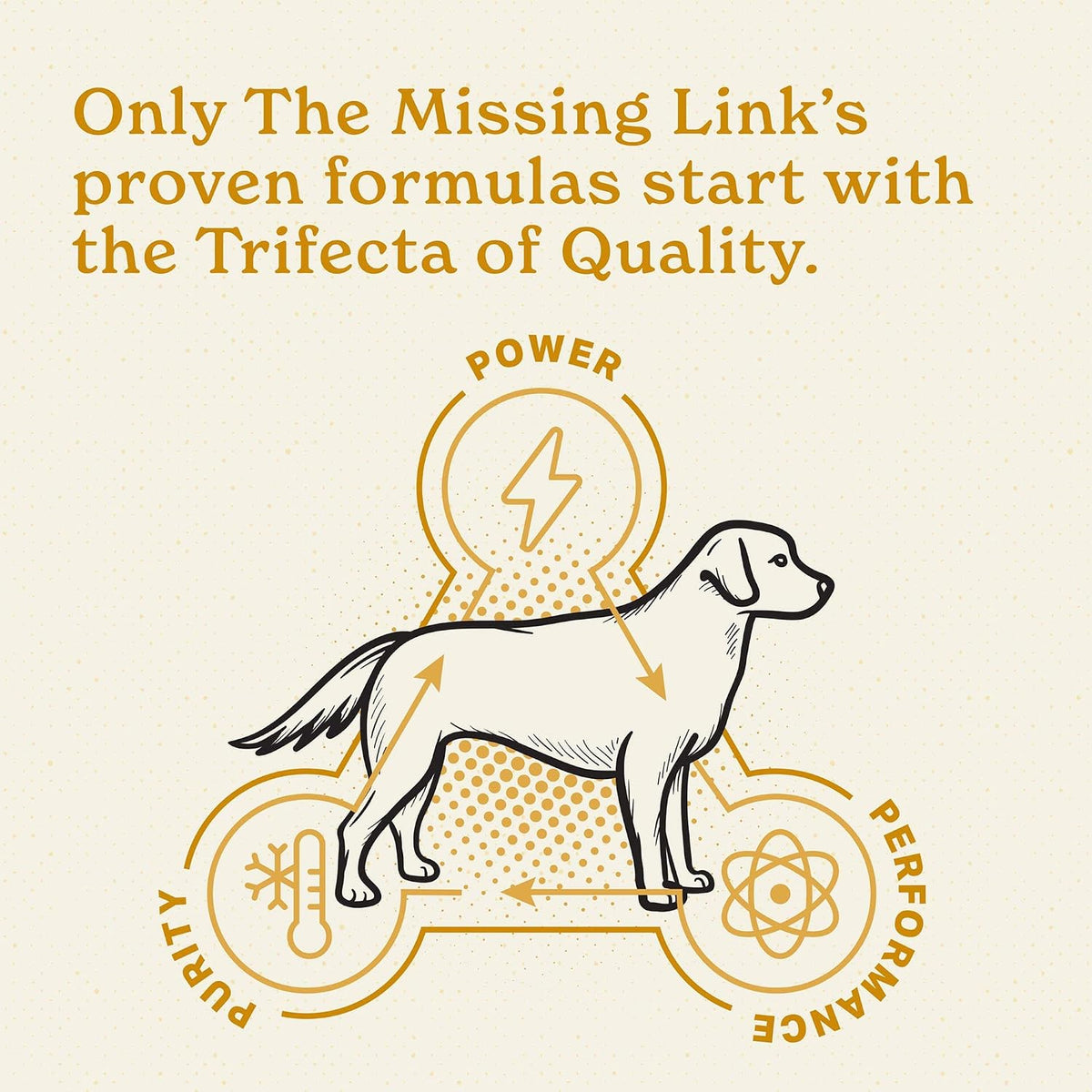 The Missing Link Skin & Coat + Probiotics Supplement for Dogs, 5 lb - görsel 7