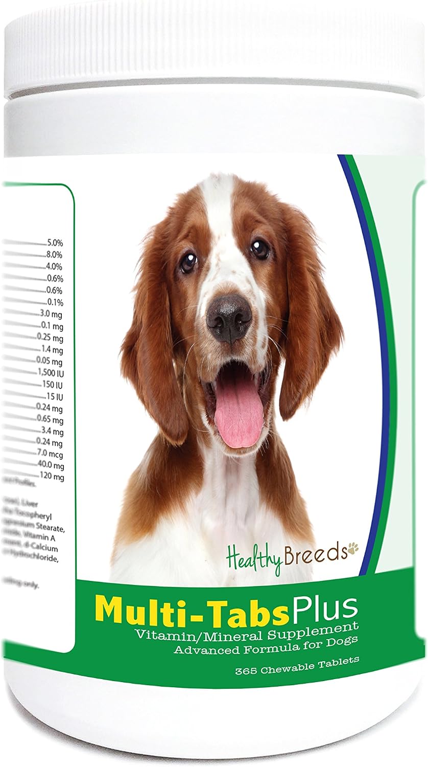Healthy Breeds Welsh Springer Spaniel Multi-Tabs Plus Chewable Tablets – 365 Count - görsel 1