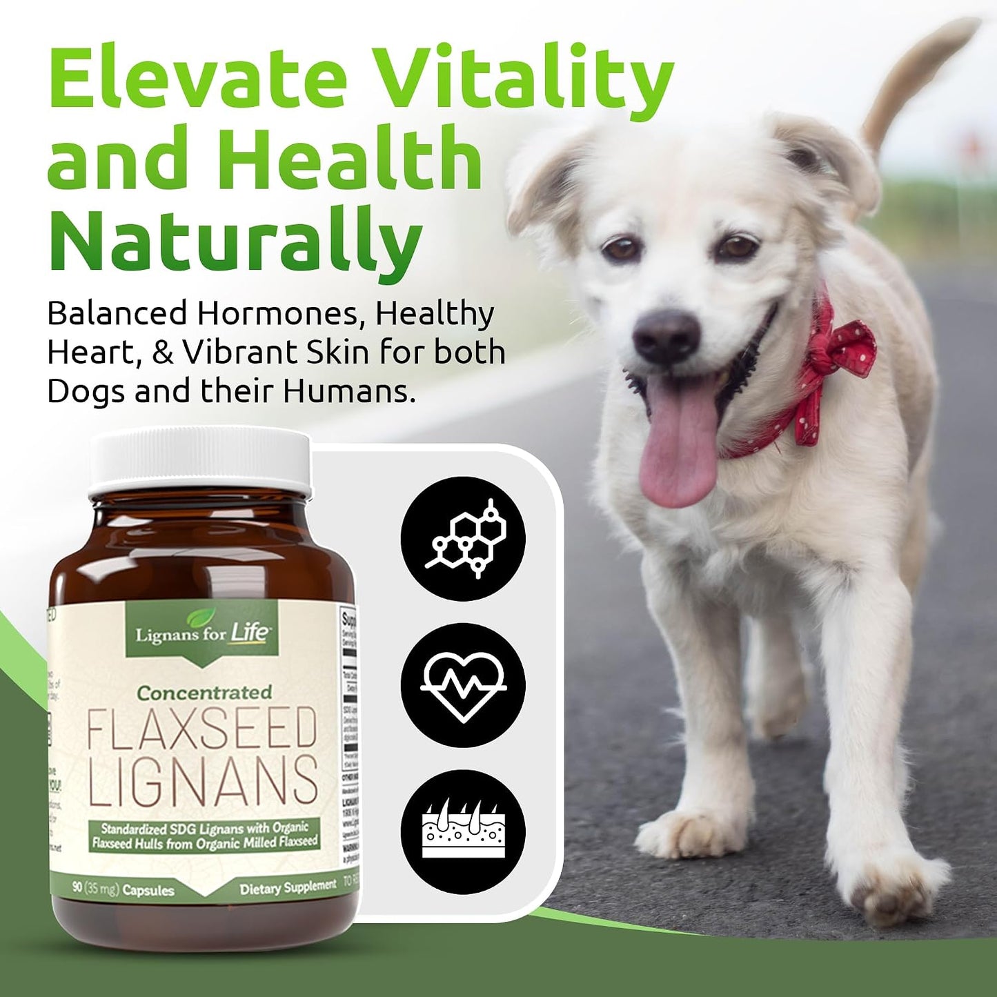 Flaxseed Lignans for Dogs & People - SDG 35mg, 90 Capsules - görsel 3