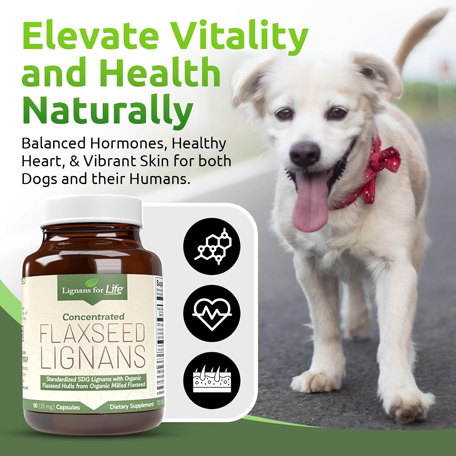 Flaxseed Lignans for Dogs & People - SDG 35mg, 90 Capsules - görsel 3