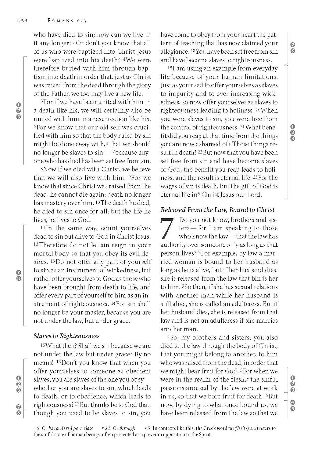 NIV, Celebrate Recovery Study Bible - görsel 8