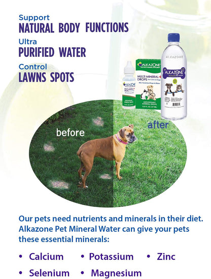 Alkazone Alkaline Multi Mineral Drops for Cats and Dogs – 3 Pack