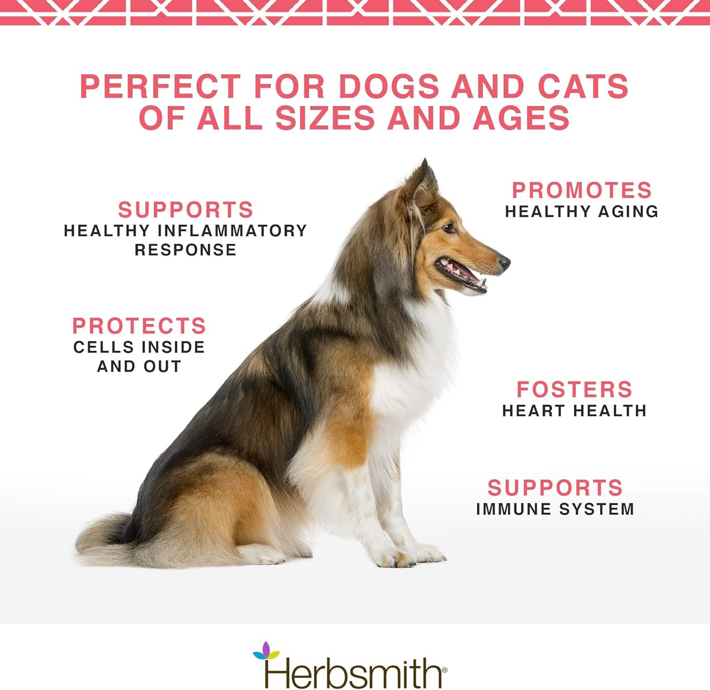 Herbsmith Pure Krill - Wild-Caught Antarctic Krill - Single Ingredient - Astaxanthin for Dogs - Ready-to-Uses Omega 3s - 150g - görsel 3