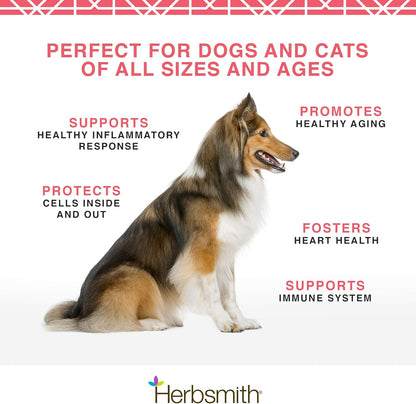 Herbsmith Pure Krill - Wild-Caught Antarctic Krill - Single Ingredient - Astaxanthin for Dogs - Ready-to-Uses Omega 3s - 150g