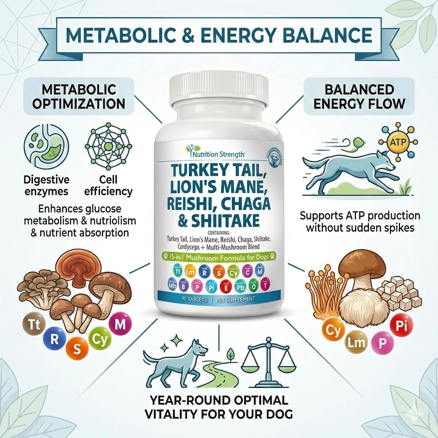 Nutrition Strength 15-in-1 Mushroom Support for Dogs | Immune System and Cognitive Health | 90 Chewable Tablets - görsel 5