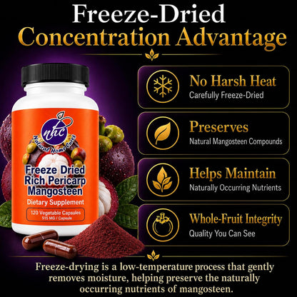 Mangosteen Food Supplement Capsules – Freeze-Dried Pericarp Powder, 515 mg, 480 Vegan Capsules