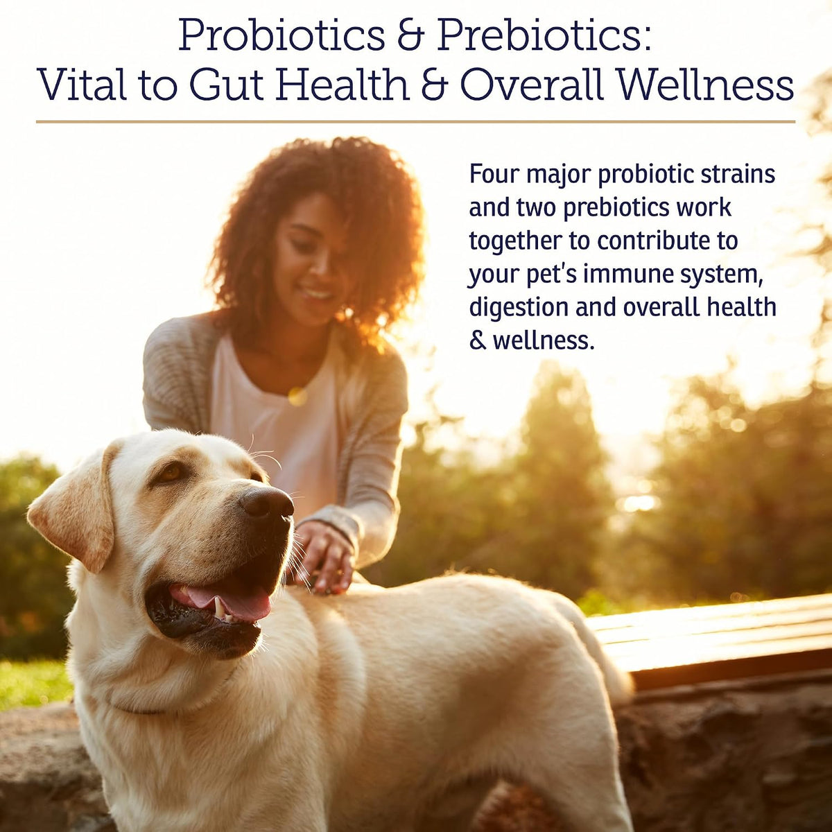 Rx Vitamins Rx Biotic Probiotic Powder for Dogs and Cats - Cat Digestive Support & Dog Gut Health - 35g - görsel 2