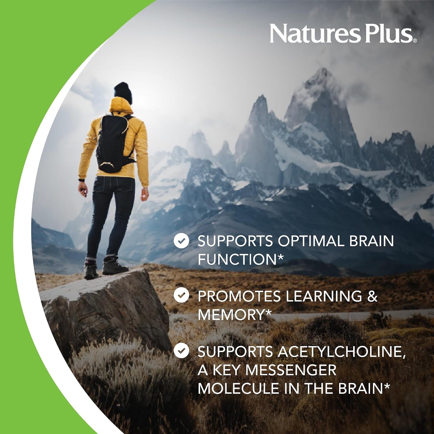 NaturesPlus Huperzine Rx-Brain - Brain Support Supplement for Memory and Cognitive Function - 30 Tablets - görsel 3
