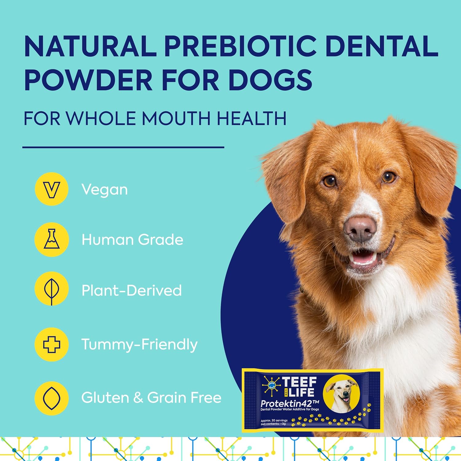 Protektin42 Prebiotic Dog Dental Powder Refill – 30 Servings - görsel 2