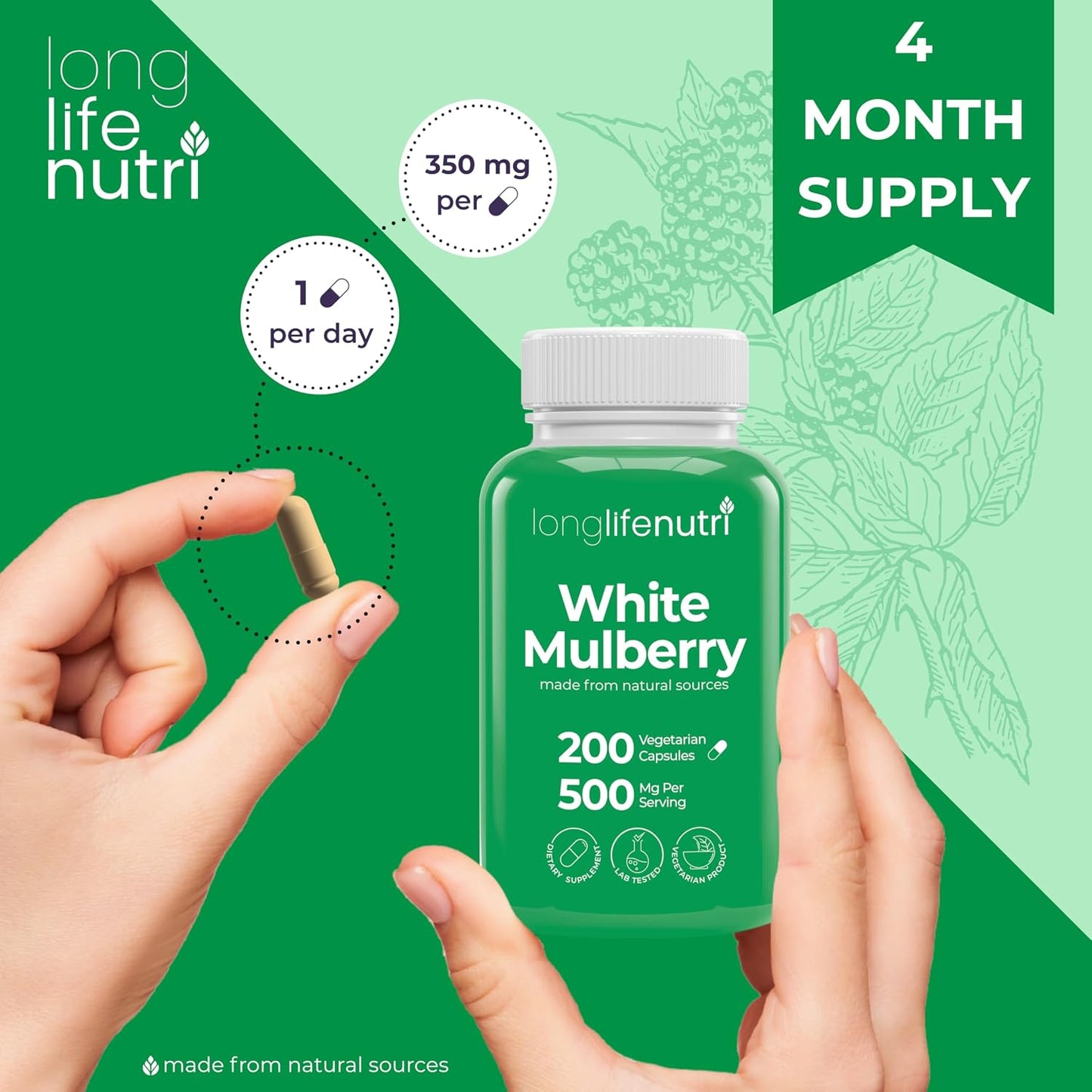 White Mulberry Leaf Extract 500mg - 200 Vegetarian Capsules, Non-GM, GMP Certified, Made in USA - görsel 5
