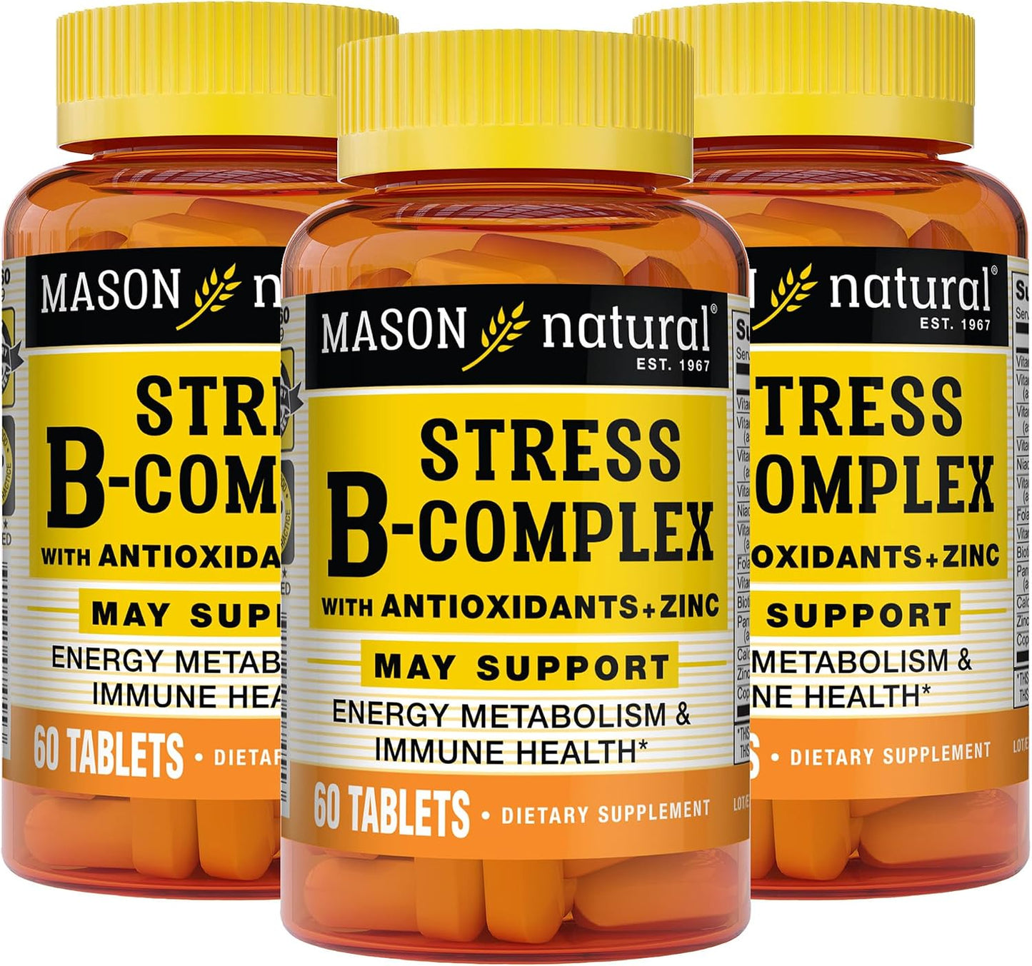 MASON NATURAL Stress B Complex with Antioxidants & Zinc - 3 Pack (6 Month Supply) - görsel 1