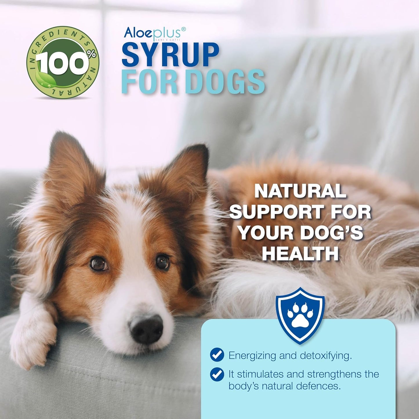 Organic Aloe Arborescens Dog Syrup – Complementary Energy and Detoxification Tonic for Senior Dogs and Puppies – 150ml - görsel 2