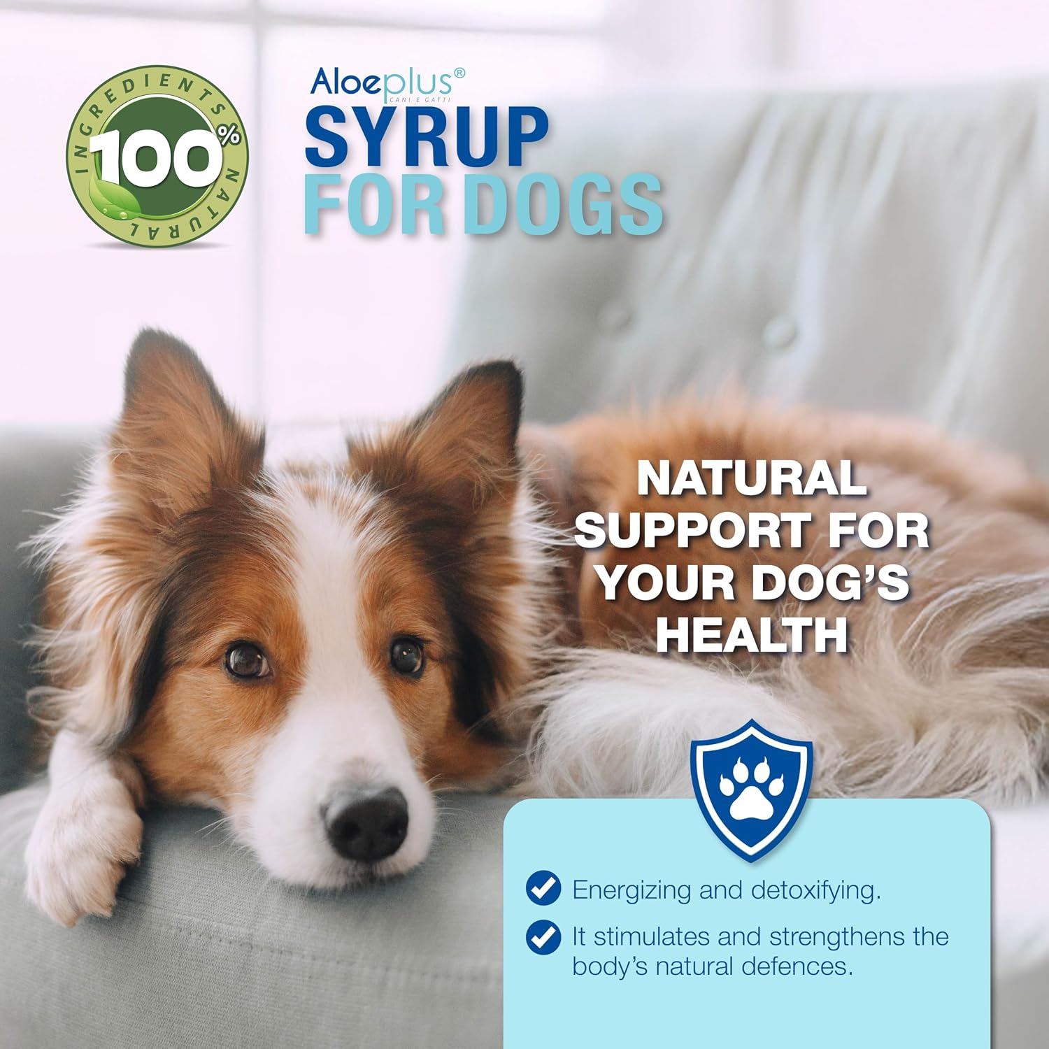 Organic Aloe Arborescens Dog Syrup – Complementary Energy and Detoxification Tonic for Senior Dogs and Puppies – 150ml - görsel 2