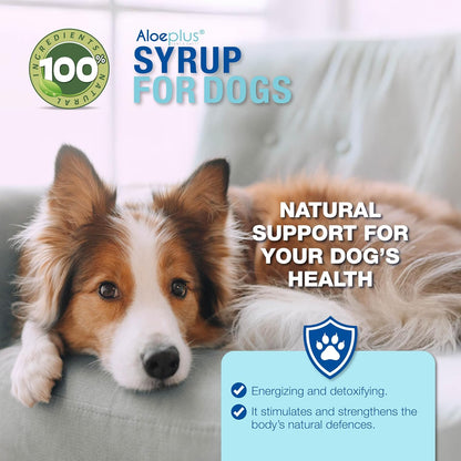Organic Aloe Arborescens Dog Syrup – Complementary Energy and Detoxification Tonic for Senior Dogs and Puppies – 150ml