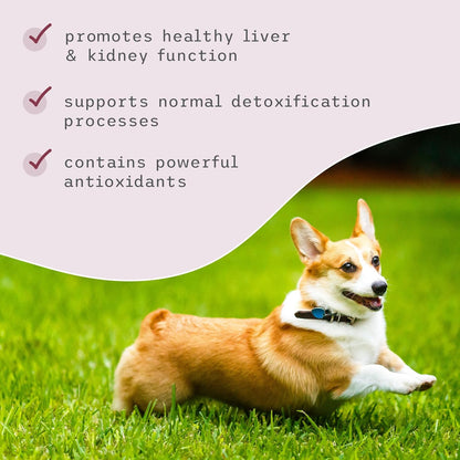 Bark & Whiskers Detox Support - Helps Support Healthy Liver & Kidney Function - Herbal Blend with Organic Milk Thistle & Green Tea - 51 g