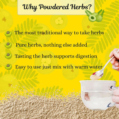 Basic Ayurveda Amla Powder - 100% Raw & Natural Indian Gooseberry for Hair, Skin & Immunity - 200g