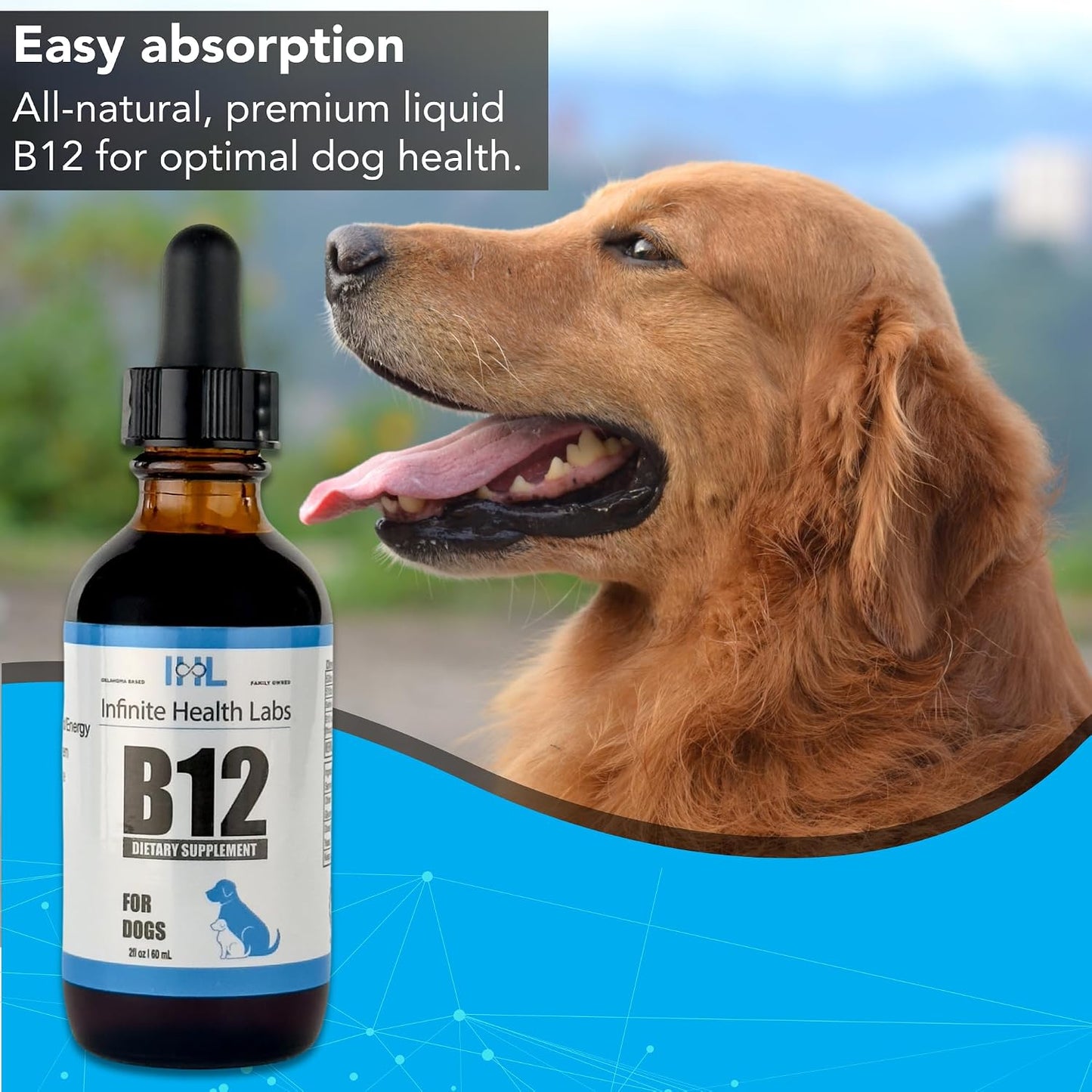 Liquid Vitamin B12 for Dogs – Methylcobalamin Supplement - görsel 2