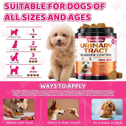 Cranberry Supplement for Dogs, Urinary Tract & Bladder Support - Cranberry Chews with D-Mannose - Kidney+Bladder, Digestion & Immune Support - 200 Chews, Chicken Flavour