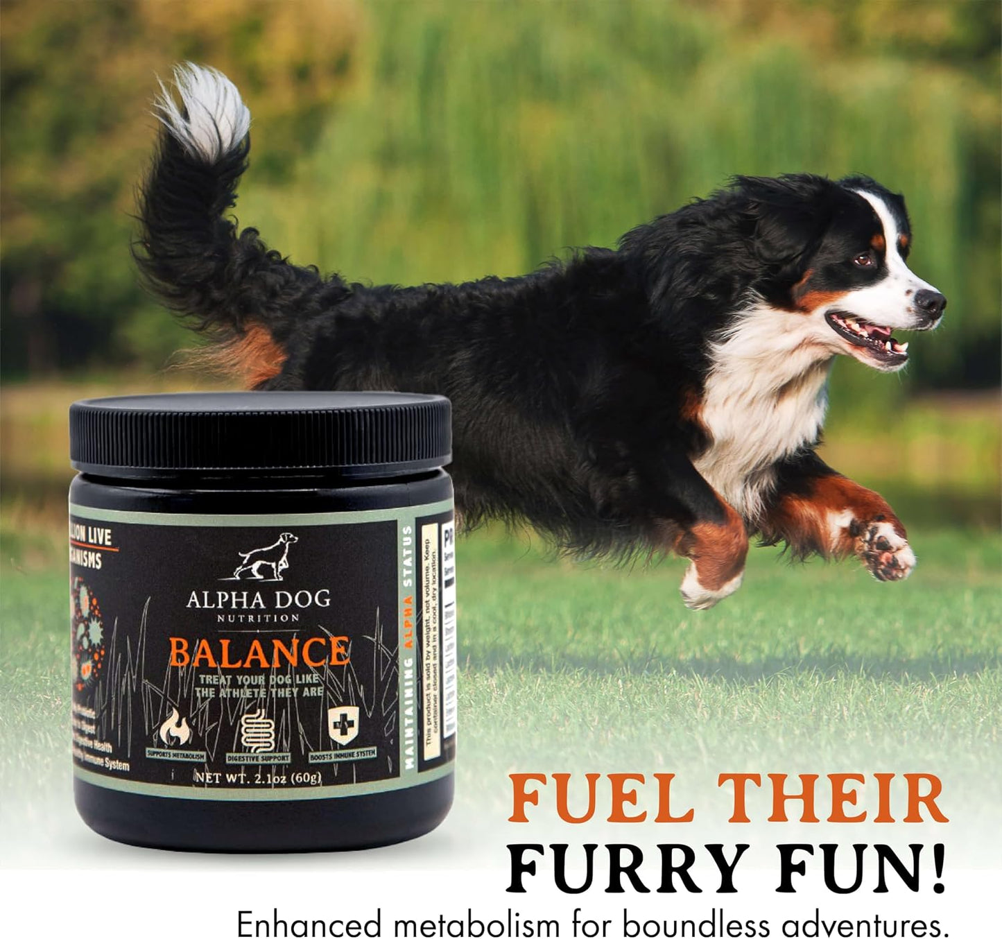 Balance Probiotic Blend for Dogs by Alpha Dog Nutrition - görsel 6