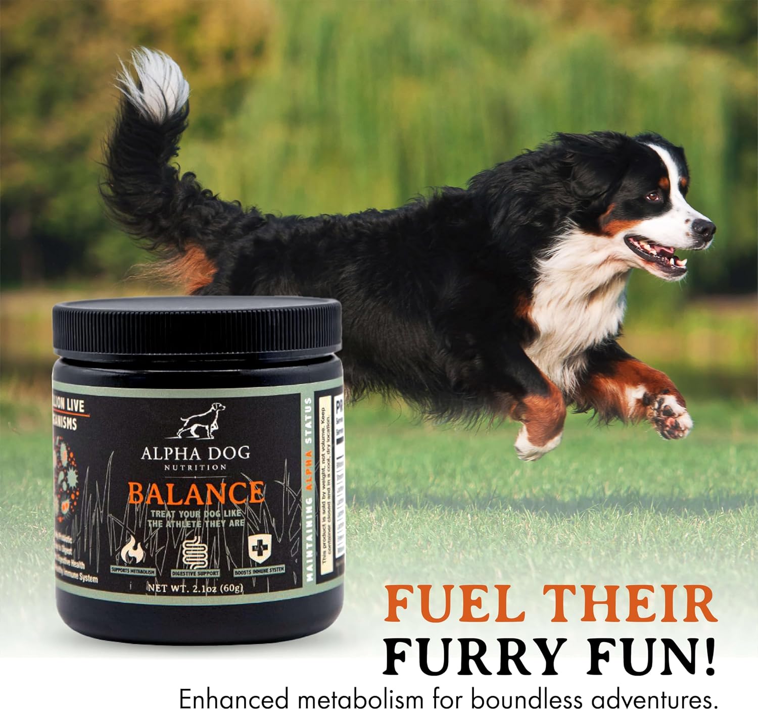 Balance Probiotic Blend for Dogs by Alpha Dog Nutrition - görsel 6