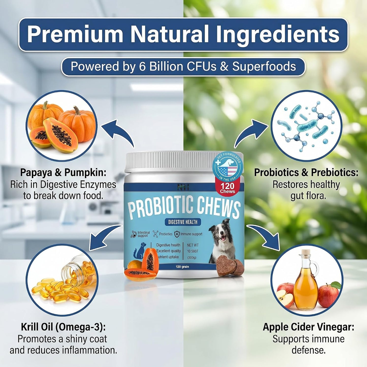 Probiotics for Dogs 120 Chews with Enzymes, Papaya, Pumpkin & Krill Oil - görsel 3