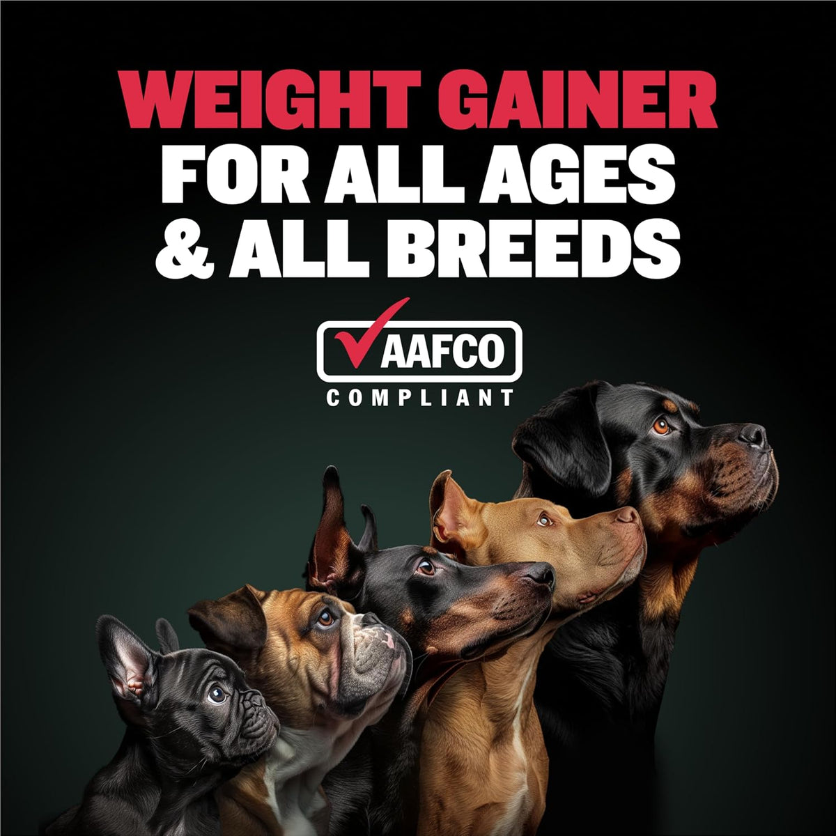 Bully Max Dog Weight Gainer 2400 Cal - High Calorie Liquid Supplement for Dogs with Omega-3 & Whey Protein - Appetite & Recovery Support for All Breeds, Puppies to Adults - Made in USA - 16 oz (473 ml) - görsel 3