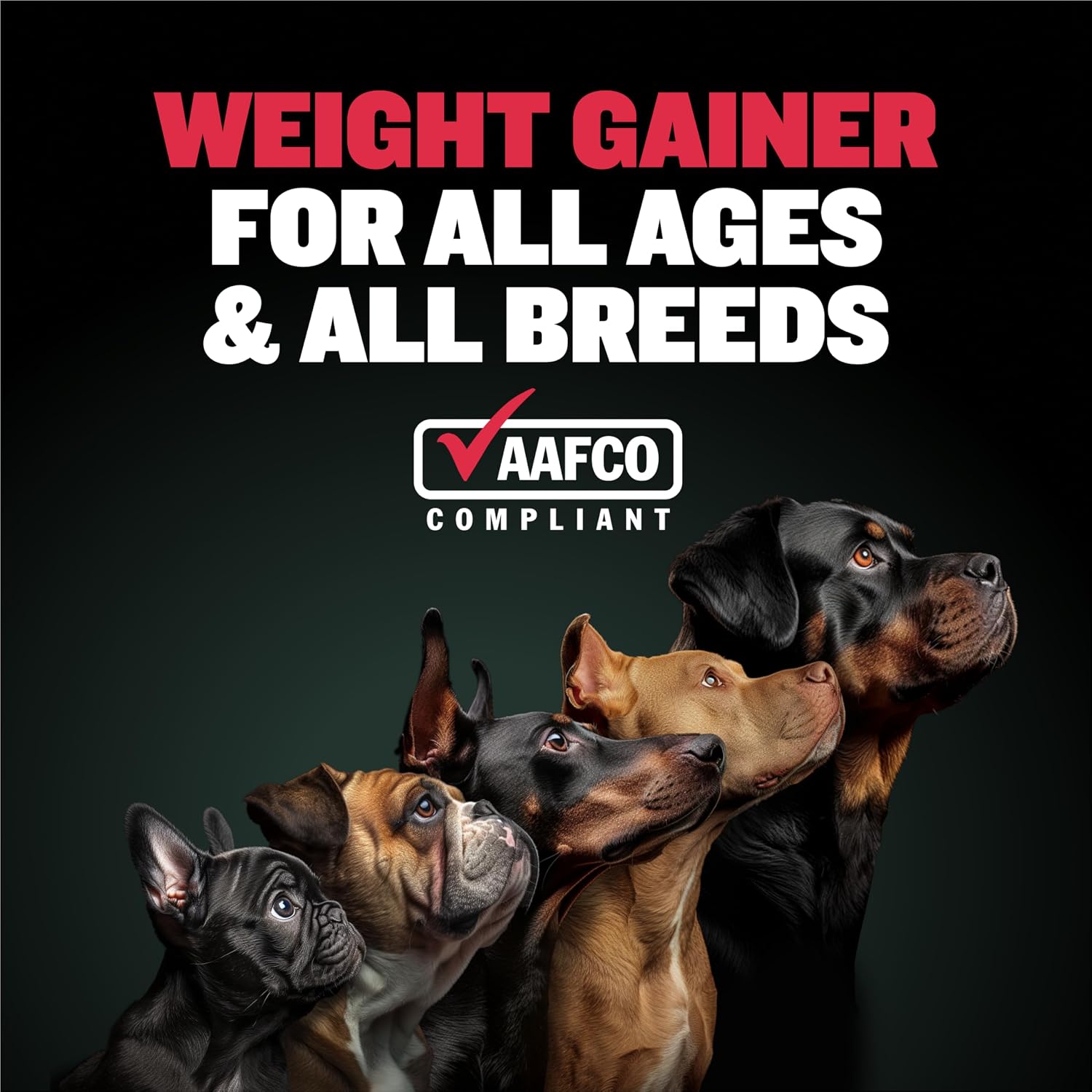 Bully Max Dog Weight Gainer 2400 Cal - High Calorie Liquid Supplement for Dogs with Omega-3 & Whey Protein - Appetite & Recovery Support for All Breeds, Puppies to Adults - Made in USA - 16 oz (473 ml) - görsel 3