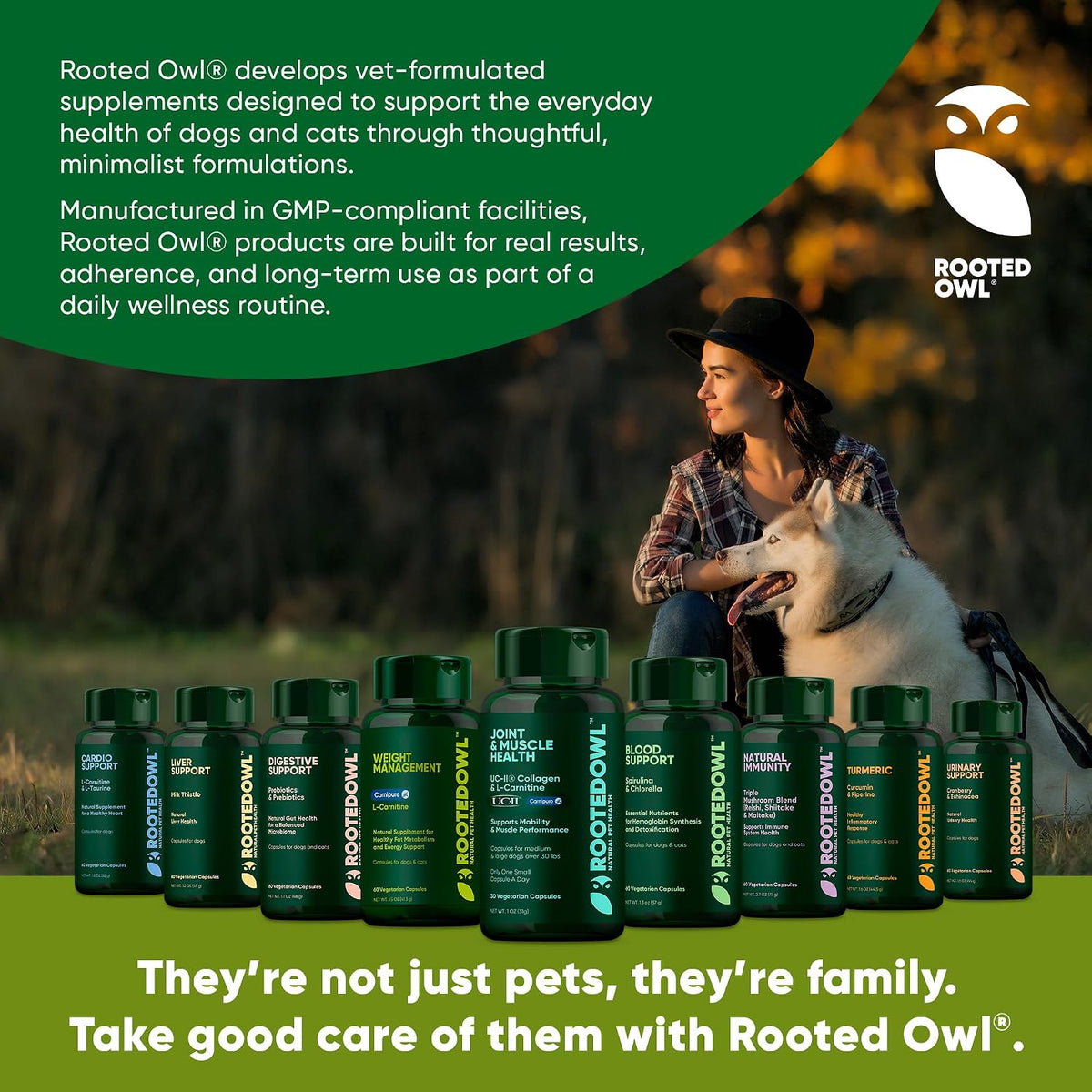 Rooted Owl Turmeric for Dogs & Cats - Curcumin Supplement with Piperine and Vitamin C, 60 Vegan Capsules - görsel 6