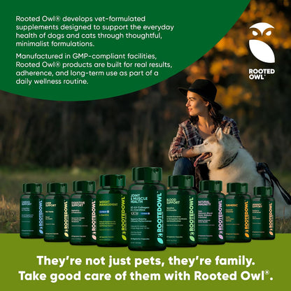 Rooted Owl Turmeric for Dogs & Cats - Curcumin Supplement with Piperine and Vitamin C, 60 Vegan Capsules