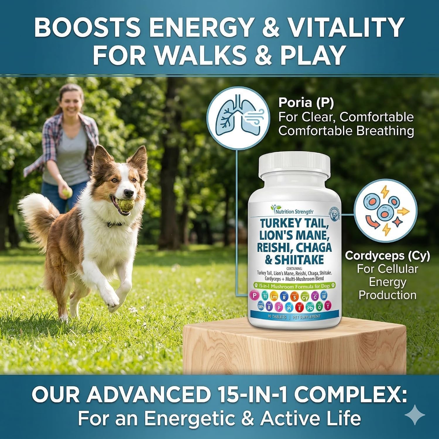 Nutrition Strength 15-in-1 Mushroom Support for Dogs | Immune System and Cognitive Health | 90 Chewable Tablets - görsel 4