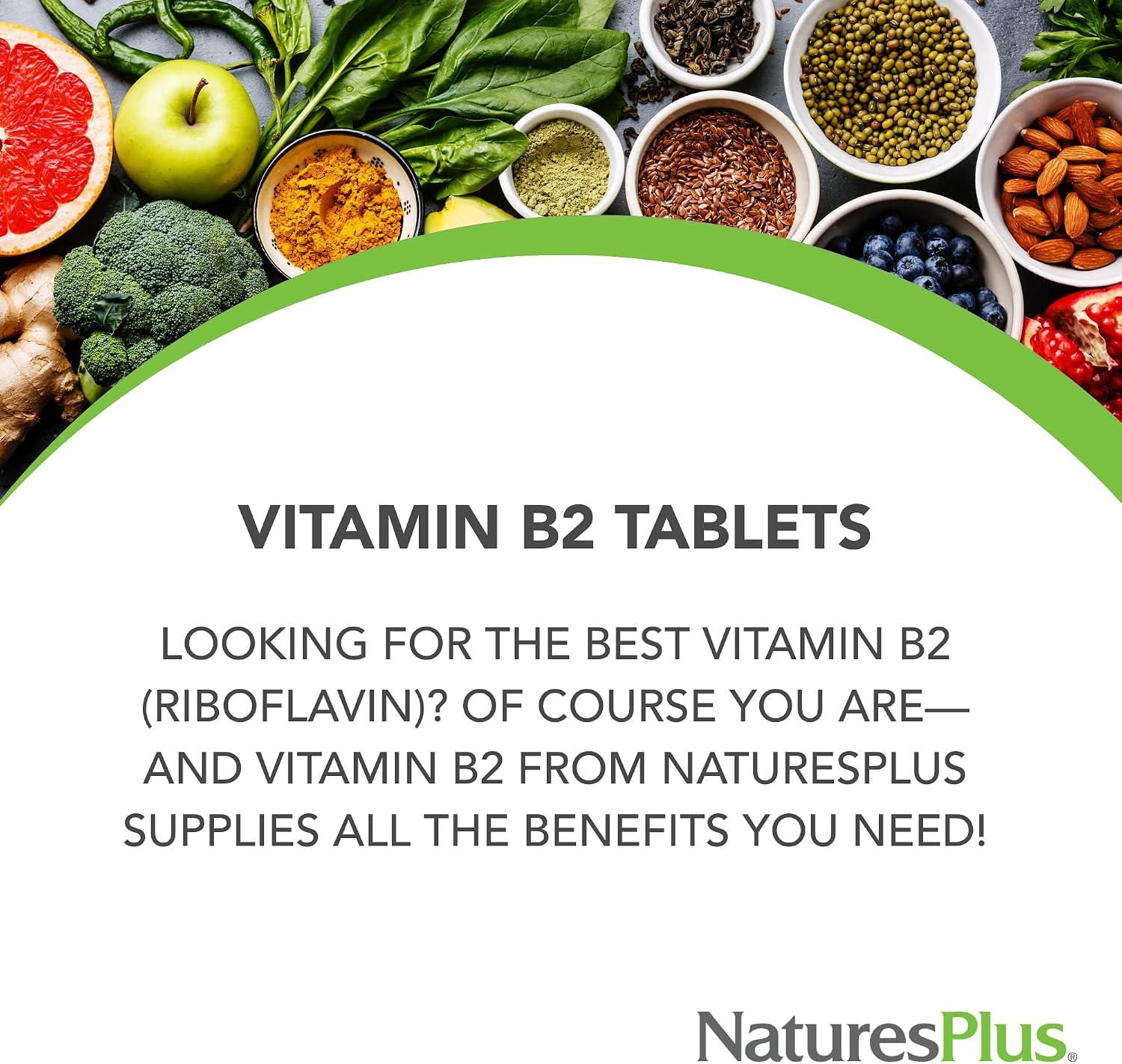NaturesPlus Vitamin B2 250 mg - 60 Sustained Release Tablets - Supports Energy Metabolism, Nervous System, Skin Health & Red Blood Cells - Antioxidant Protection - Vegetarian, Gluten Free - görsel 3