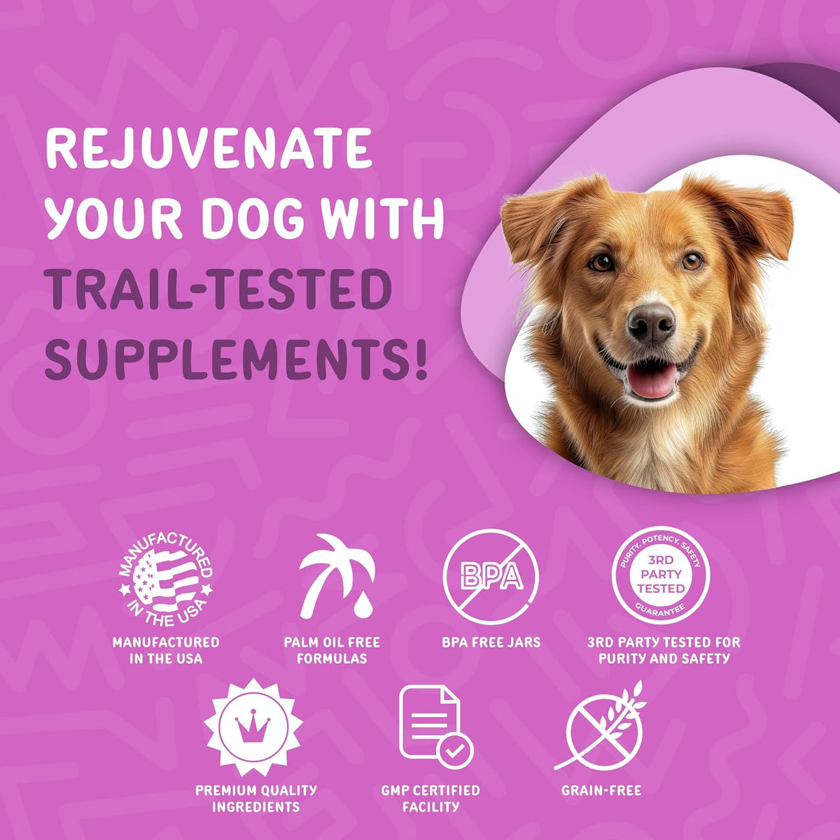 Waggedy Advanced Dog Probiotics Gut and Digestion Food Topper – Probiotic Powder with Digestive Enzymes & Papaya – Gentle Probiotics for Dogs 6+ Weeks – Supports Gut Balance, Comfort & Immune Health - görsel 6