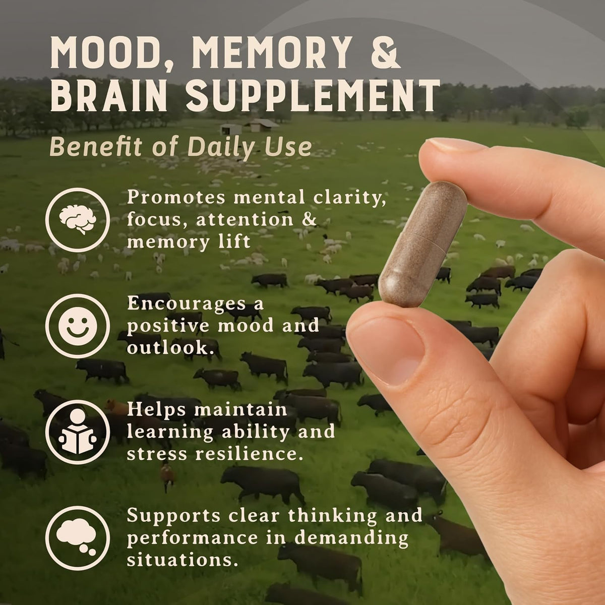 Heart & Soil Grass Fed Beef Brain Supplement – 3000mg, 180 Capsules - görsel 3