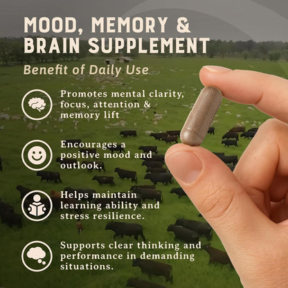 Heart & Soil Grass Fed Beef Brain Supplement – 3000mg, 180 Capsules