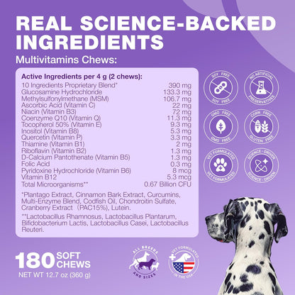 CHEWIA Dog Vitamins 15 in 1 - Multivitamin Chews with MSM for Joint Health, Skin & Coat, Itchy Skin Support, and Immune Support
