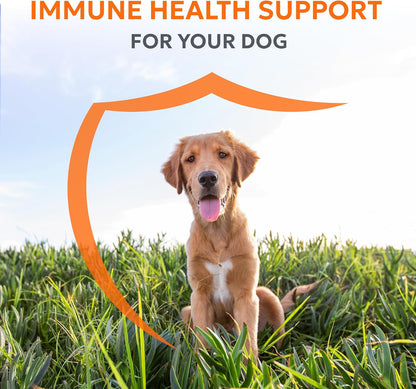 Nutramax Laboratories Imuquin Immune Health Supplement Powder for Dogs, 30 Sachets
