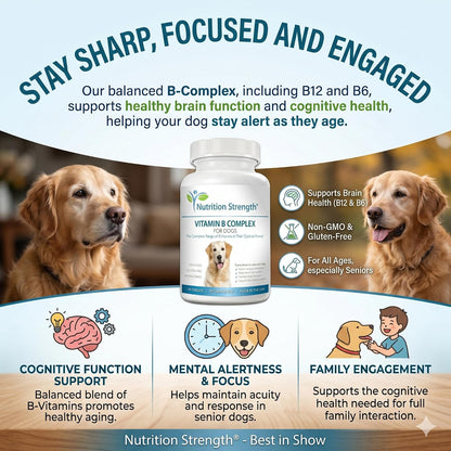 Nutrition Strength Vitamin B Complex for Dogs – for Blood Cell & Nervous System Support, 120 Chewable Tablets